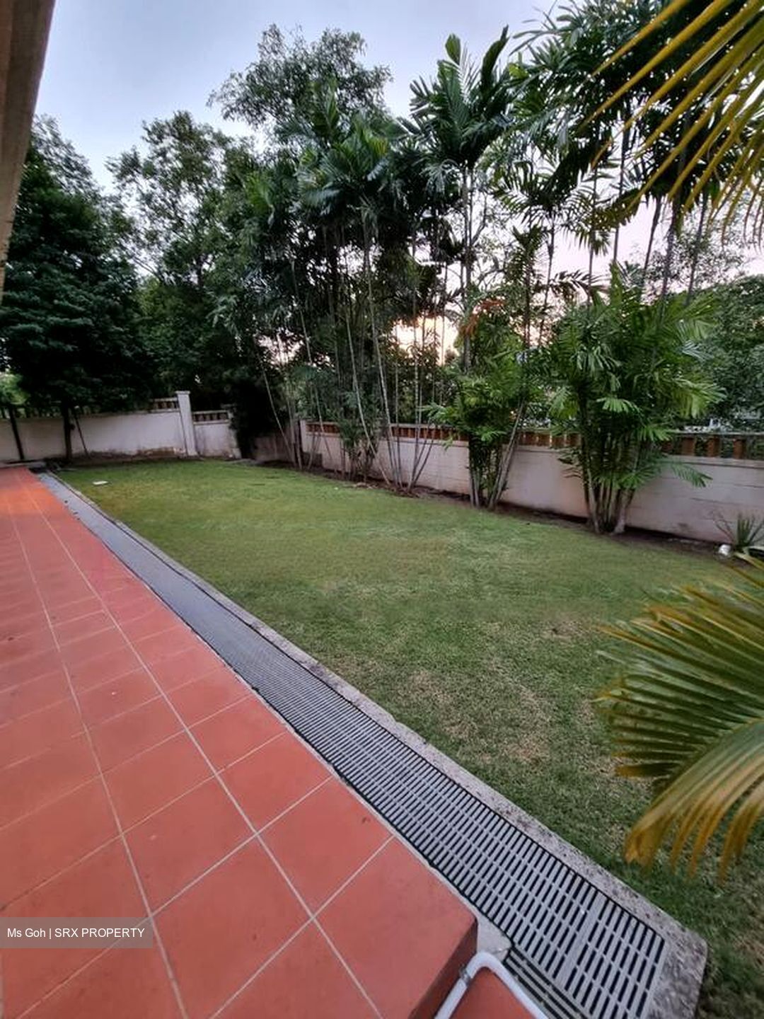 Mera Terrace (D16), Terrace #528274031